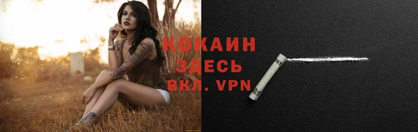 ПСИЛОЦИБИНОВЫЕ ГРИБЫ Богданович