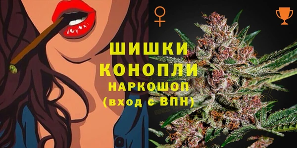 ПСИЛОЦИБИНОВЫЕ ГРИБЫ Богданович