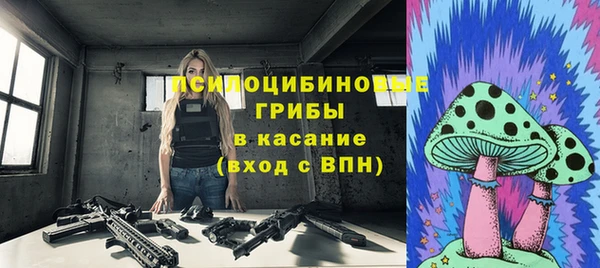 ПСИЛОЦИБИНОВЫЕ ГРИБЫ Богданович