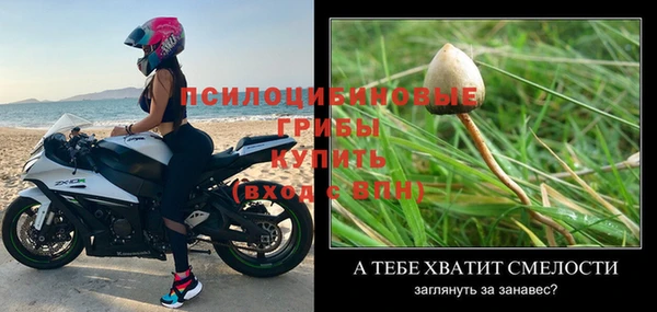 PSILOCYBIN Богородск