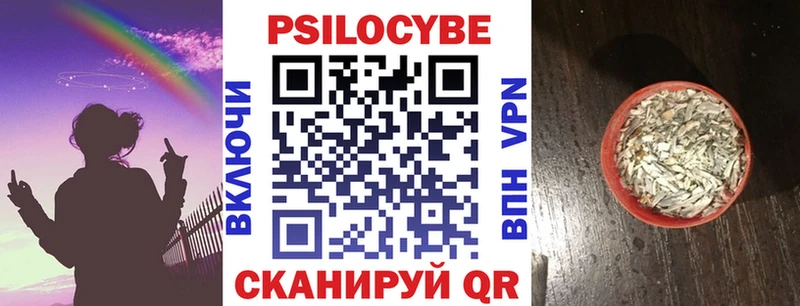 закладки  Макаров  Галлюциногенные грибы мицелий 